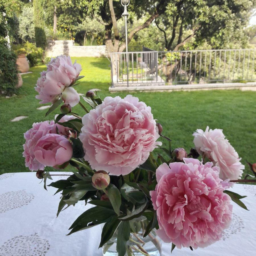Provence Dodo Bed & Breakfast Villeneuve  Exterior photo